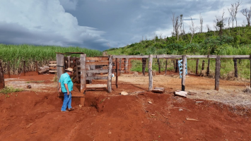 Sitiante é ameaçado de morte por ladrões após furto de gado avaliado em R$ 80 mil no interior de SP